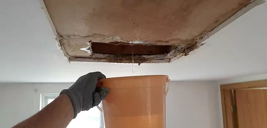 Ceiling Mold Repair Decatur